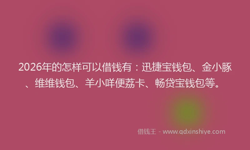 2026年的怎样可以借钱有：迅捷宝钱包、金小豚、维维钱包、羊小咩便荔卡、畅贷宝钱包等。