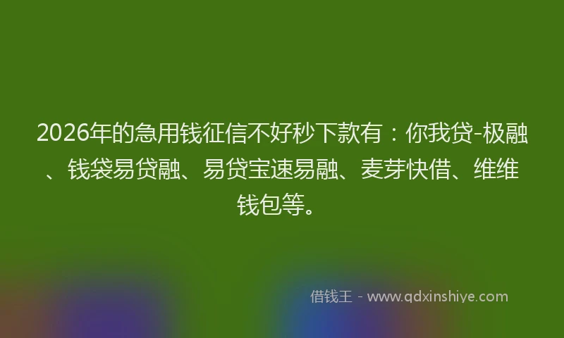 2026年的急用钱征信不好秒下款有：你我贷-极融、钱袋易贷融、易贷宝速易融、麦芽快借、维维钱包等。