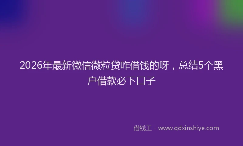 2026年最新微信微粒贷咋借钱的呀，总结5个黑户借款必下口子