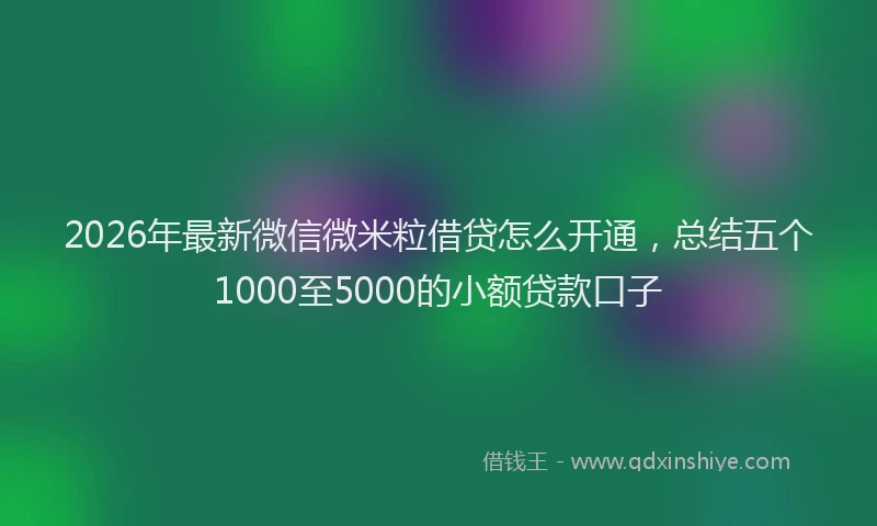 2026年最新微信微米粒借贷怎么开通，总结五个1000至5000的小额贷款口子