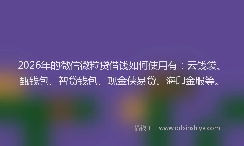 2026年的微信微粒贷借钱如何使用有：云钱袋、甄钱包、智贷钱包、现金侠易贷、海印金服等。