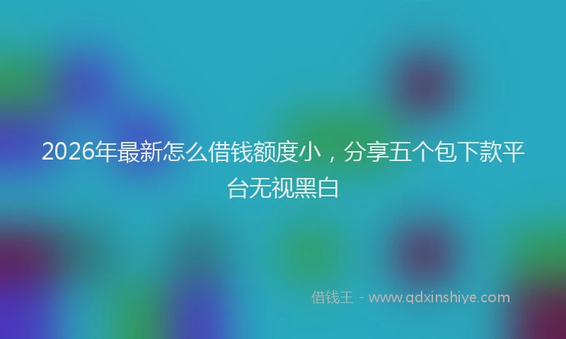 2026年最新怎么借钱额度小，分享五个包下款平台无视黑白