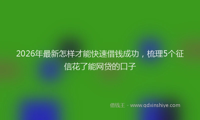 2026年最新怎样才能快速借钱成功,梳理5个征信花了能网贷的口子