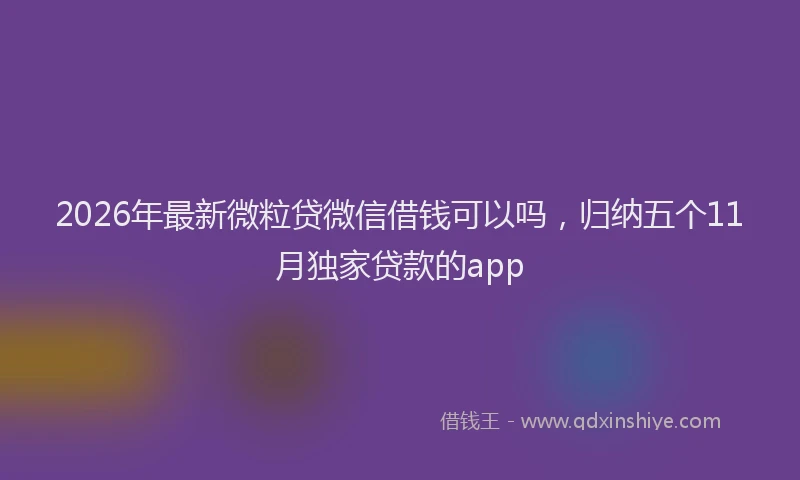 2026年最新微粒贷微信借钱可以吗，归纳五个11月独家贷款的app