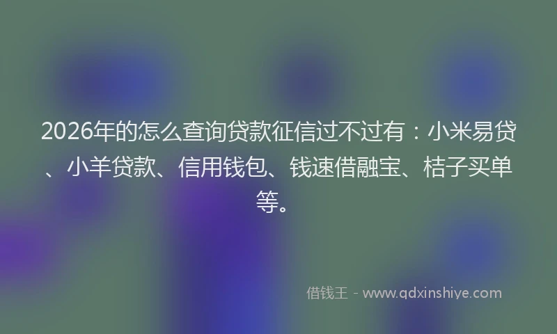 2026年的怎么查询贷款征信过不过有：小米易贷、小羊贷款、信用钱包、钱速借融宝、桔子买单等。