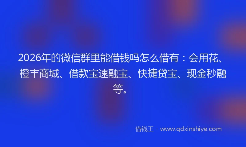 2026年的微信群里能借钱吗怎么借有：会用花、橙丰商城、借款宝速融宝、快捷贷宝、现金秒融等。
