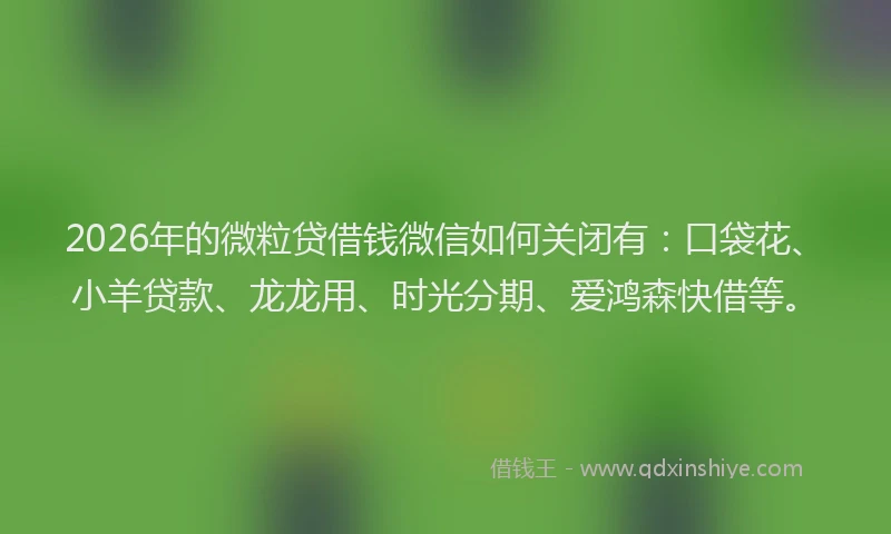 2026年的微粒贷借钱微信如何关闭有：口袋花、小羊贷款、龙龙用、时光分期、爱鸿森快借等。