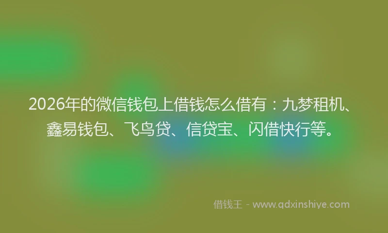 2026年的微信钱包上借钱怎么借有：九梦租机、鑫易钱包、飞鸟贷、信贷宝、闪借快行等。