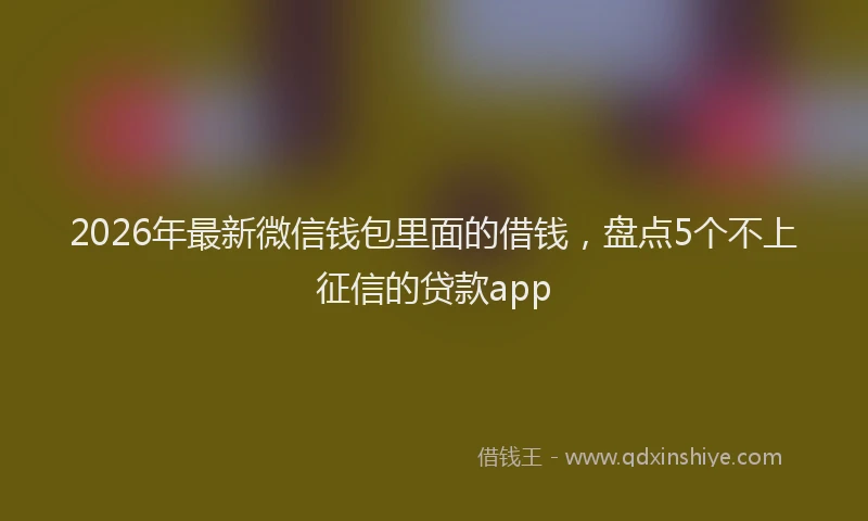 2026年最新微信钱包里面的借钱，盘点5个不上征信的贷款app