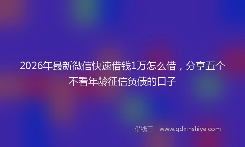 2026年最新微信快速借钱1万怎么借，分享五个不看年龄征信负债的口子