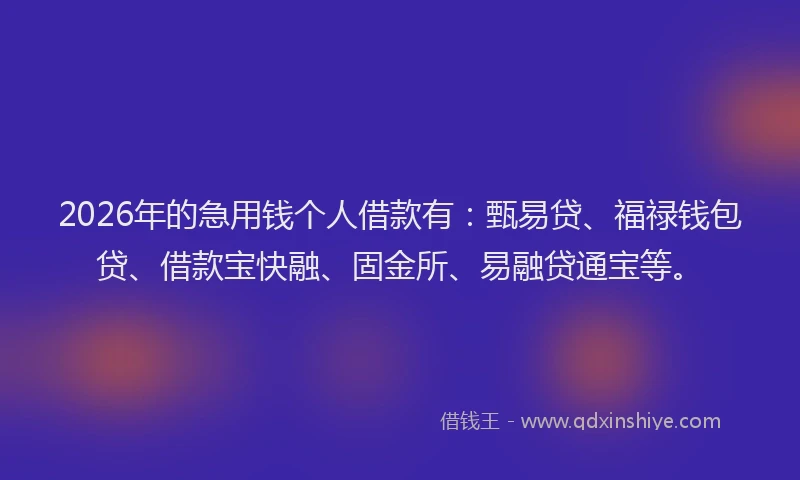 2026年的急用钱个人借款有：甄易贷、福禄钱包贷、借款宝快融、固金所、易融贷通宝等。