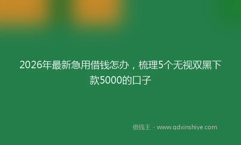 2026年最新急用借钱怎办，梳理5个无视双黑下款5000的口子