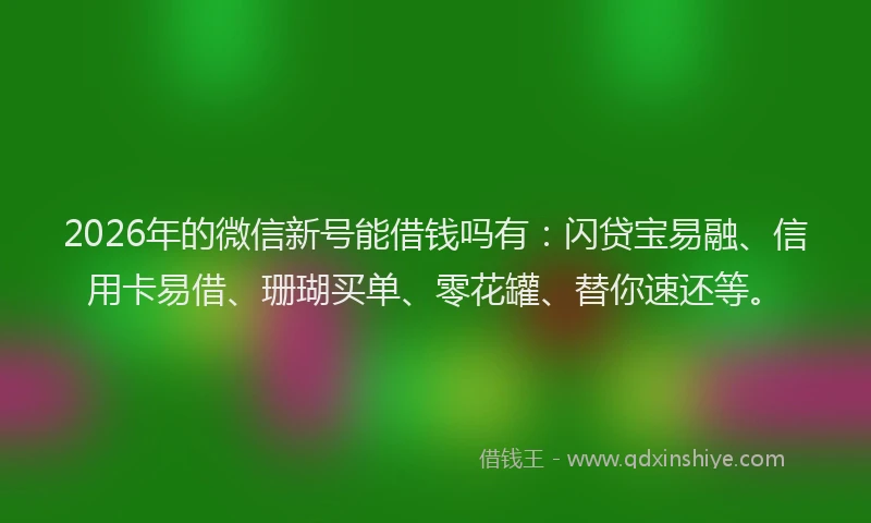 2026年的微信新号能借钱吗有：闪贷宝易融、信用卡易借、珊瑚买单、零花罐、替你速还等。