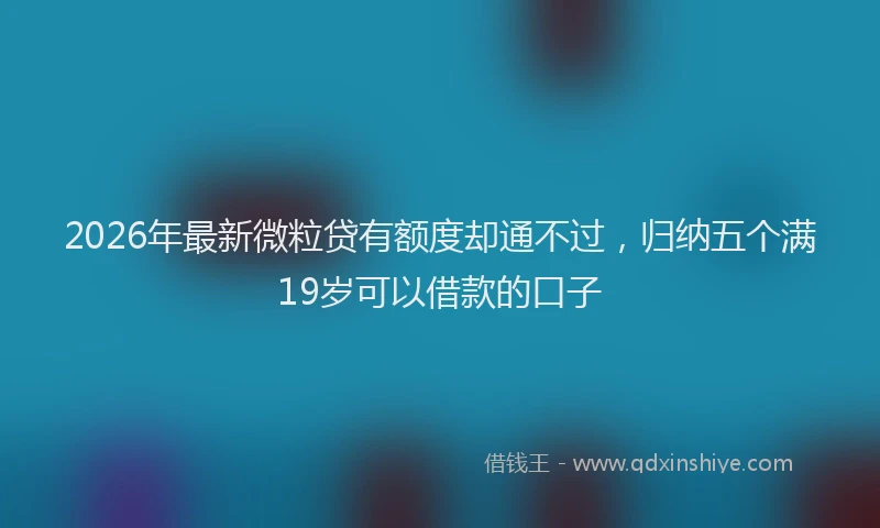 2026年最新微粒贷有额度却通不过，归纳五个满19岁可以借款的口子