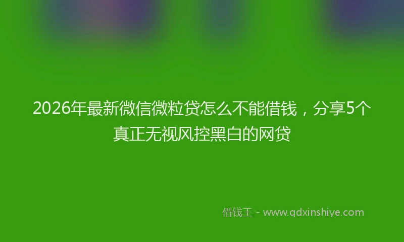 2026年最新微信微粒贷怎么不能借钱，分享5个真正无视风控黑白的网贷