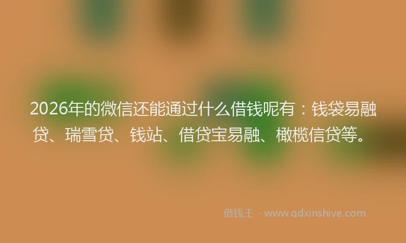 2026年的微信还能通过什么借钱呢有:钱袋易融贷、瑞雪贷、钱站、借贷宝易融、橄榄信贷等。