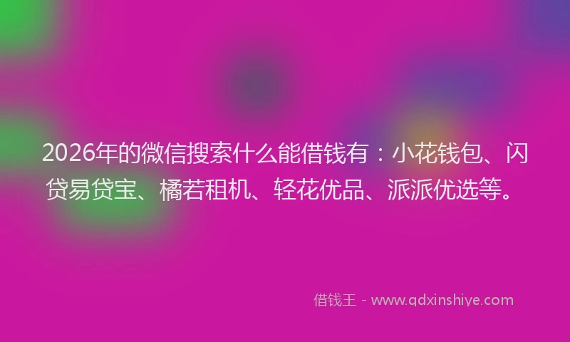 2026年的微信搜索什么能借钱有：小花钱包、闪贷易贷宝、橘若租机、轻花优品、派派优选等。