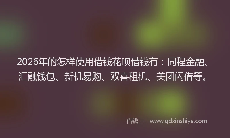 2026年的怎样使用借钱花呗借钱有:同程金融、汇融钱包、新机易购、双喜租机、美团闪借等。