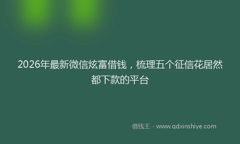 2026年最新微信炫富借钱，梳理五个征信花居然都下款的平台