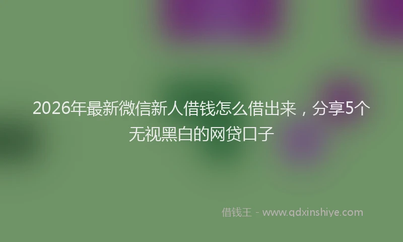2026年最新微信新人借钱怎么借出来，分享5个无视黑白的网贷口子