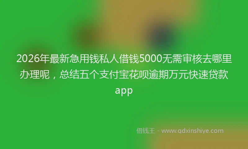 2026年最新急用钱私人借钱5000无需审核去哪里办理呢,总结五个支付宝花呗逾期万元快速贷款app
