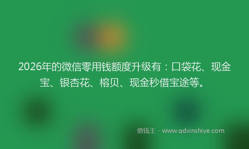 2026年的微信零用钱额度升级有：口袋花、现金宝、银杏花、榕贝、现金秒借宝途等。