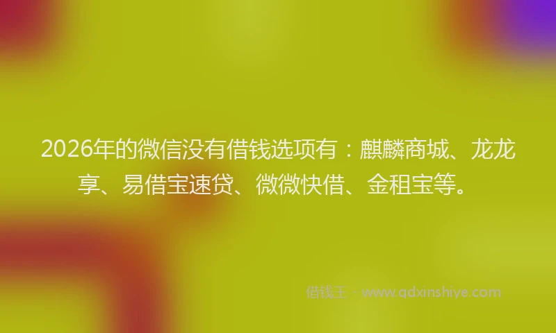 2026年的微信没有借钱选项有：麒麟商城、龙龙享、易借宝速贷、微微快借、金租宝等。