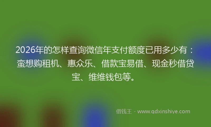 2026年的怎样查询微信年支付额度已用多少有：蛮想购租机、惠众乐、借款宝易借、现金秒借贷宝、维维钱包等。