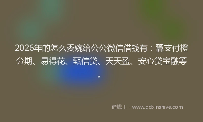 2026年的怎么委婉给公公微信借钱有：翼支付橙分期、易得花、甄信贷、天天盈、安心贷宝融等。