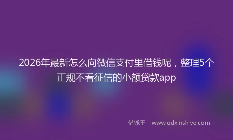 2026年最新怎么向微信支付里借钱呢，整理5个正规不看征信的小额贷款app