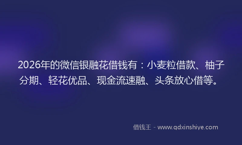 2026年的微信银融花借钱有：小麦粒借款、柚子分期、轻花优品、现金流速融、头条放心借等。