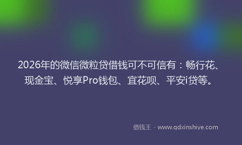 2026年的微信微粒贷借钱可不可信有：畅行花、现金宝、悦享Pro钱包、宜花呗、平安i贷等。