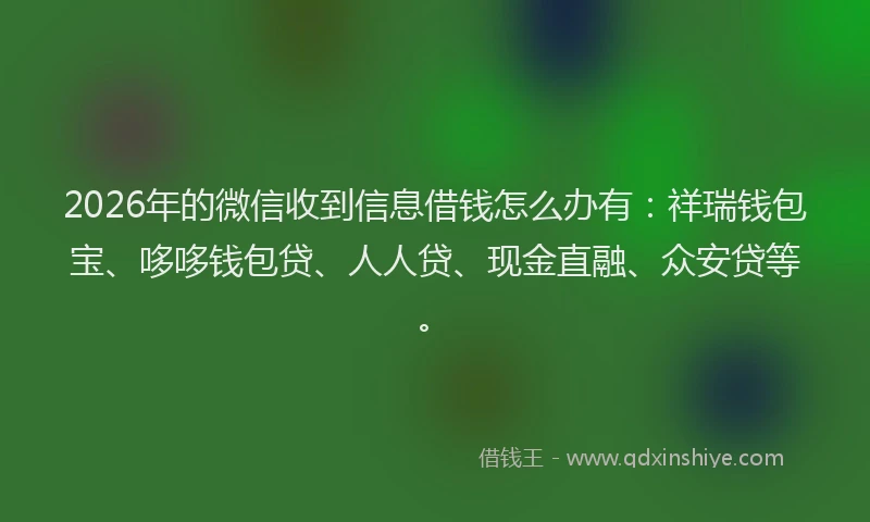2026年的微信收到信息借钱怎么办有：祥瑞钱包宝、哆哆钱包贷、人人贷、现金直融、众安贷等。