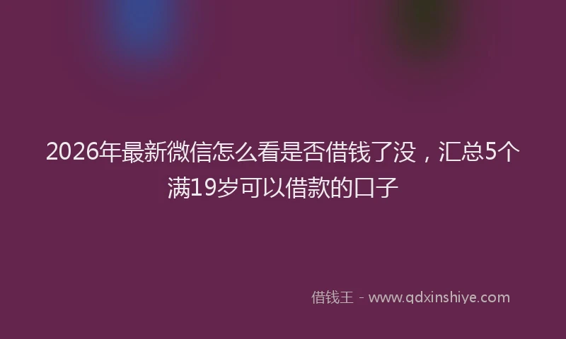 2026年最新微信怎么看是否借钱了没，汇总5个满19岁可以借款的口子