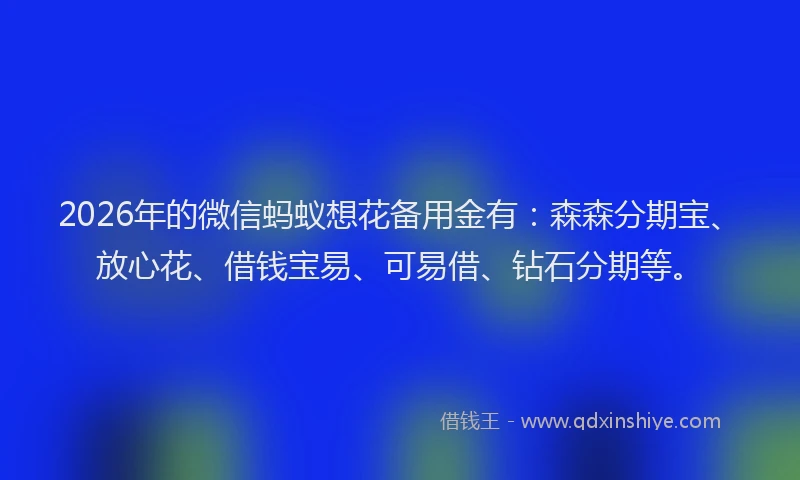 2026年的微信蚂蚁想花备用金有：森森分期宝、放心花、借钱宝易、可易借、钻石分期等。