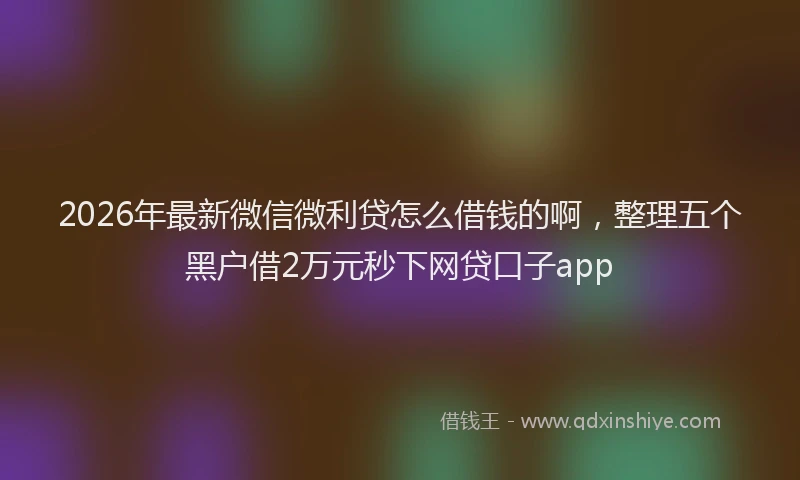 2026年最新微信微利贷怎么借钱的啊，整理五个黑户借2万元秒下网贷口子app