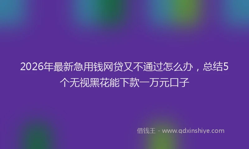 2026年最新急用钱网贷又不通过怎么办，总结5个无视黑花能下款一万元口子