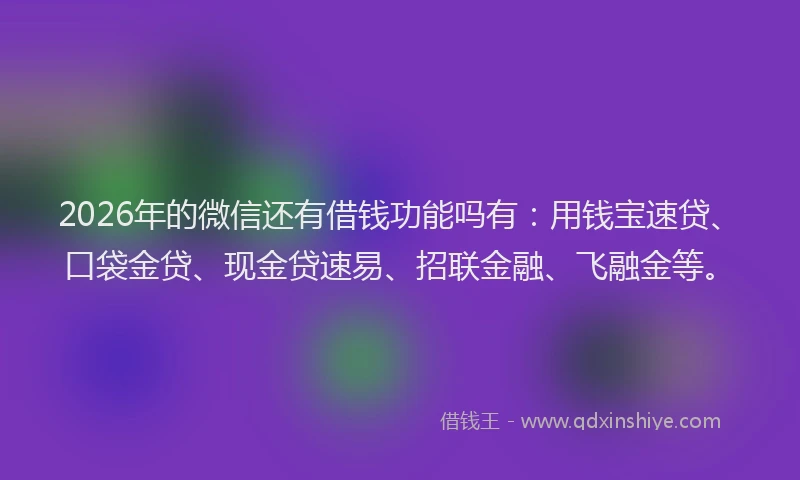 2026年的微信还有借钱功能吗有：用钱宝速贷、口袋金贷、现金贷速易、招联金融、飞融金等。