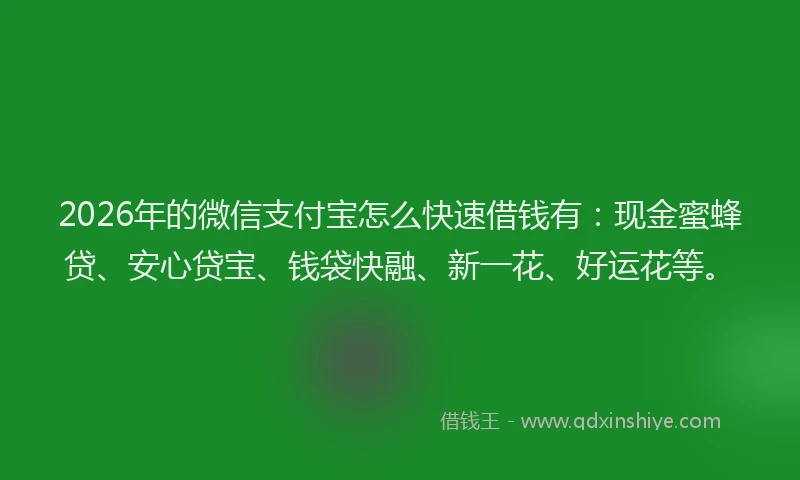 2026年的微信支付宝怎么快速借钱有：现金蜜蜂贷、安心贷宝、钱袋快融、新一花、好运花等。