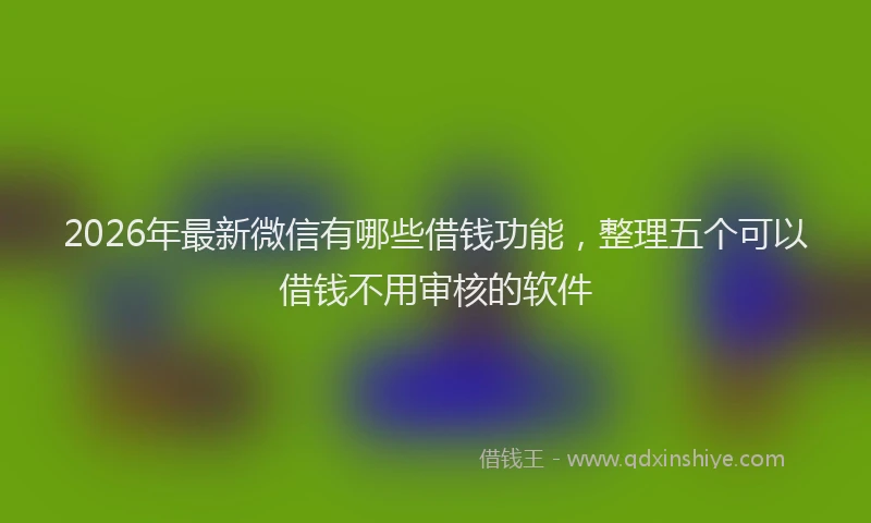 2026年最新微信有哪些借钱功能，整理五个可以借钱不用审核的软件