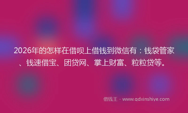 2026年的怎样在借呗上借钱到微信有：钱袋管家、钱速借宝、团贷网、掌上财富、粒粒贷等。