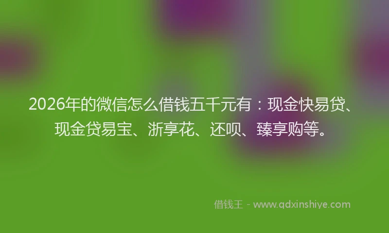 2026年的微信怎么借钱五千元有：现金快易贷、现金贷易宝、浙享花、还呗、臻享购等。