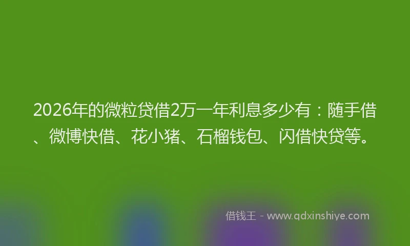 2026年的微粒贷借2万一年利息多少有：随手借、微博快借、花小猪、石榴钱包、闪借快贷等。