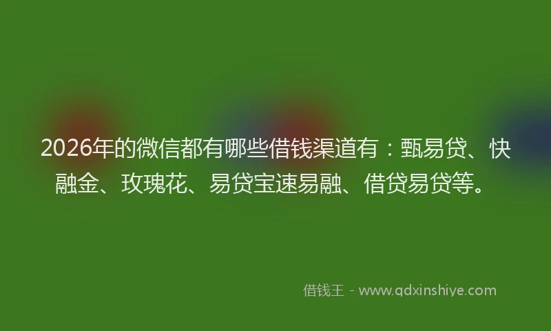 2026年的微信都有哪些借钱渠道有：甄易贷、快融金、玫瑰花、易贷宝速易融、借贷易贷等。