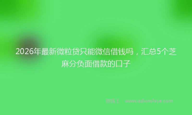 2026年最新微粒贷只能微信借钱吗，汇总5个芝麻分负面借款的口子