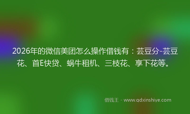 2026年的微信美团怎么操作借钱有：芸豆分-芸豆花、首E快贷、蜗牛租机、三枝花、享下花等。
