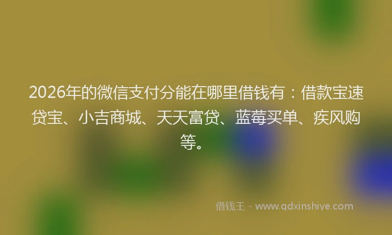 2026年的微信支付分能在哪里借钱有：借款宝速贷宝、小吉商城、天天富贷、蓝莓买单、疾风购等。