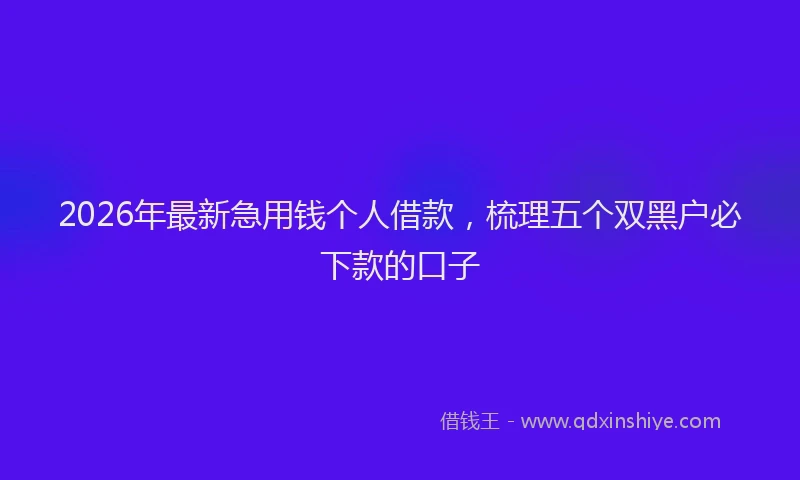2026年最新急用钱个人借款，梳理五个双黑户必下款的口子