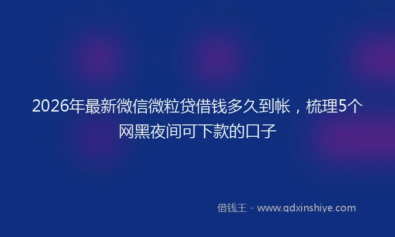 2026年最新微信微粒贷借钱多久到帐，梳理5个网黑夜间可下款的口子