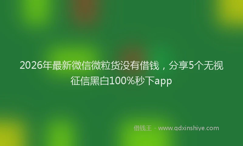 2026年最新微信微粒货没有借钱，分享5个无视征信黑白100%秒下app